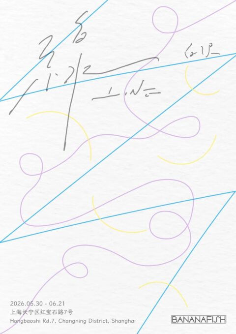 白沢: 线 Line